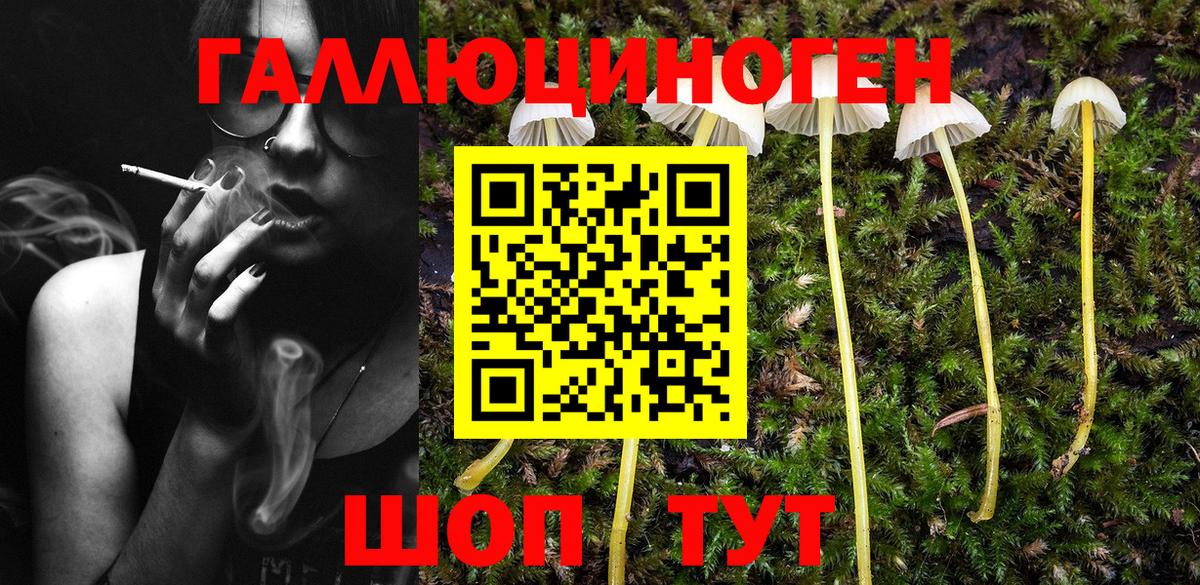 Галлюциногенные грибы мухоморы Ефремов