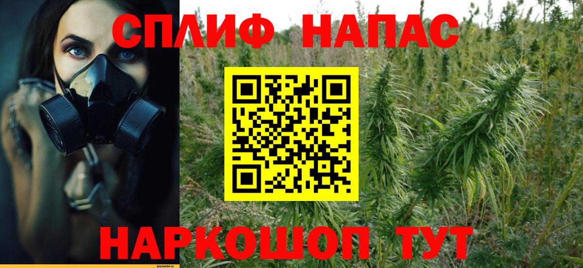 Бошки Шишки ГИДРОПОН Ефремов